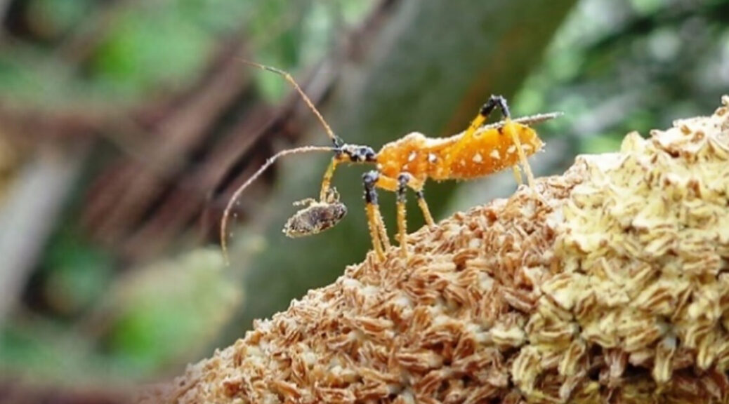 Parasit: Musuh Kecil dalam Sejarah Kesehatan Manusia